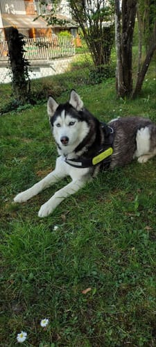 Customer photo review of Relax Time