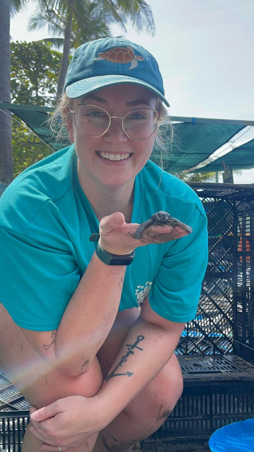 Customer photo review of Turtle Lid