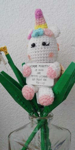 Customer photo review of LICORNE POSITIVE