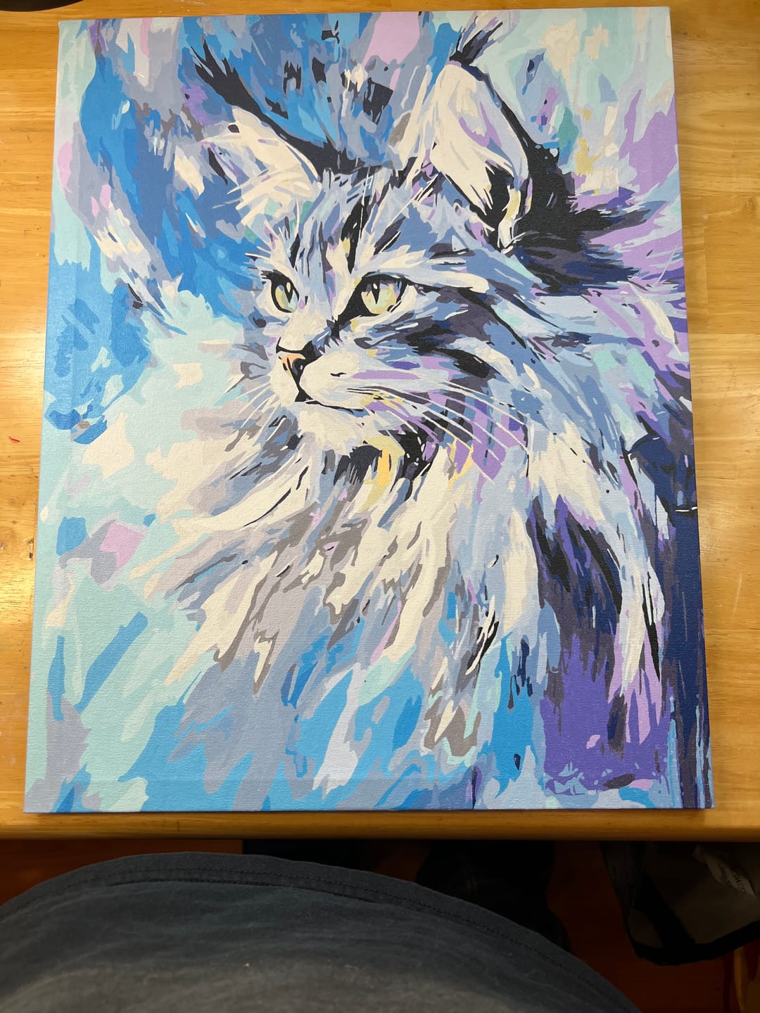 Customer photo review of Abstract Maine Coon