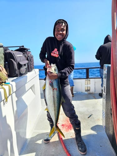 Customer photo review of Fisherman's Life® Vertical Jigs 100g, 150g, 200g, 300g FOUR COLORS available