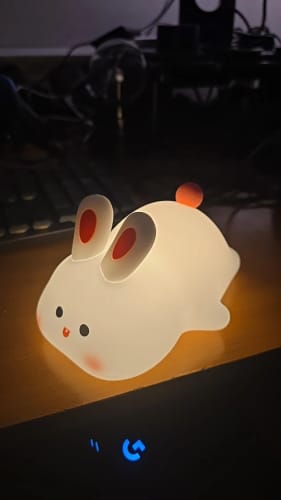 Customer photo review of Rabbit LED USB Rechargeable Silicone Night Light