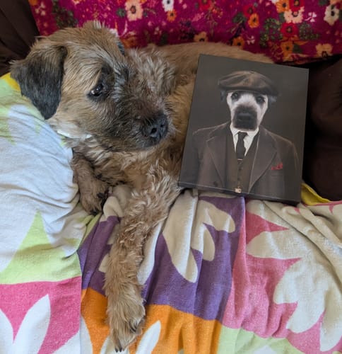 Customer photo review of The British Gangster - Custom Pet Canvas