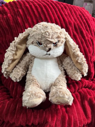 Customer photo review of Large Angry Rabbit Plush Toy