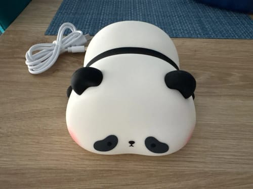 Customer photo review of Panda LED USB Rechargeable Silicone Night Lights