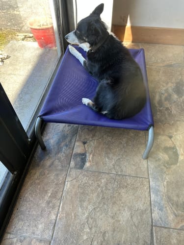 Customer photo review of Purple Mesh Cover
