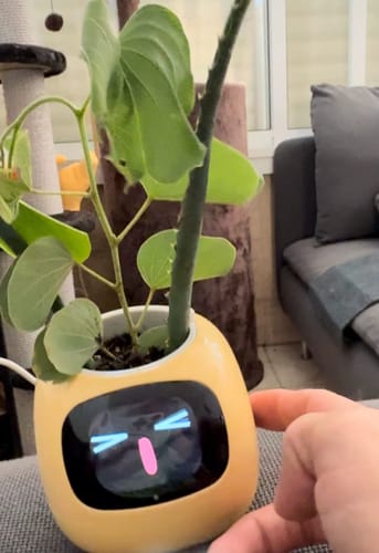Customer photo review of Plantello™ – The Smart AI Plant Companion