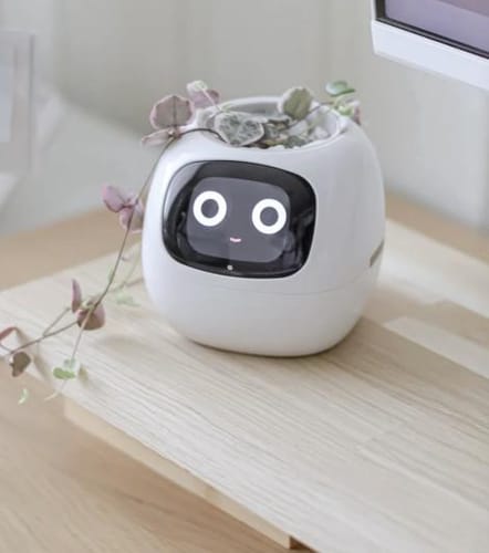 Customer photo review of Plantello™ – The Smart AI Plant Companion
