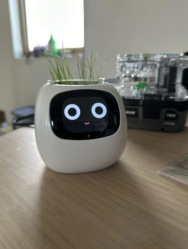 Customer photo review of Plantello™ – The Smart AI Plant Companion