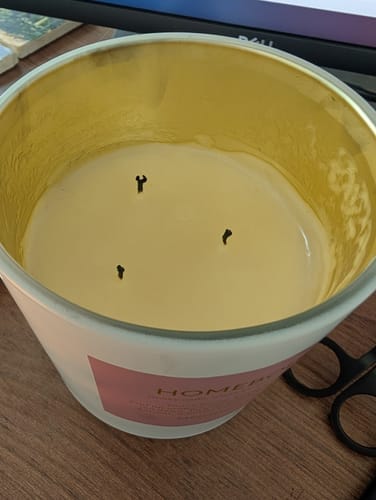 Customer photo review of Homebody - 3-Wick Candle