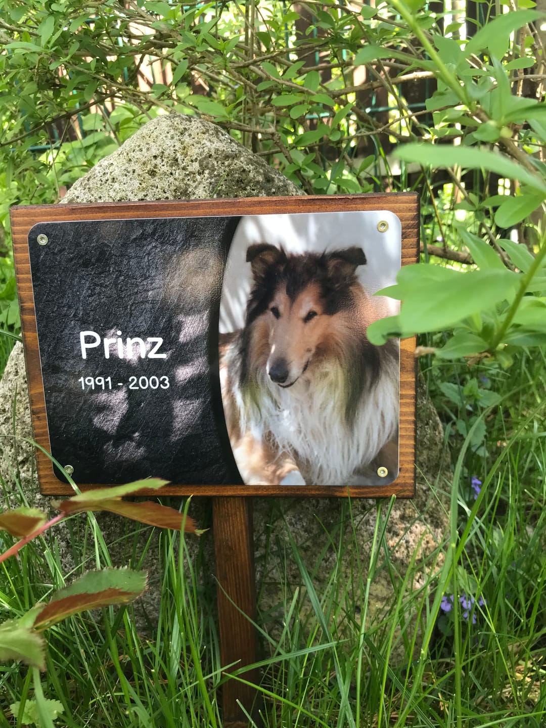 Customer photo review of Hunde Gedenktafel mit Foto & Spruch (UV- & Wetterfest)