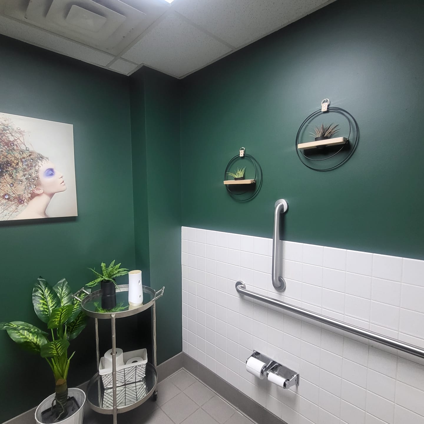 Customer photo review of Air Plant Shelf + Pot Trio