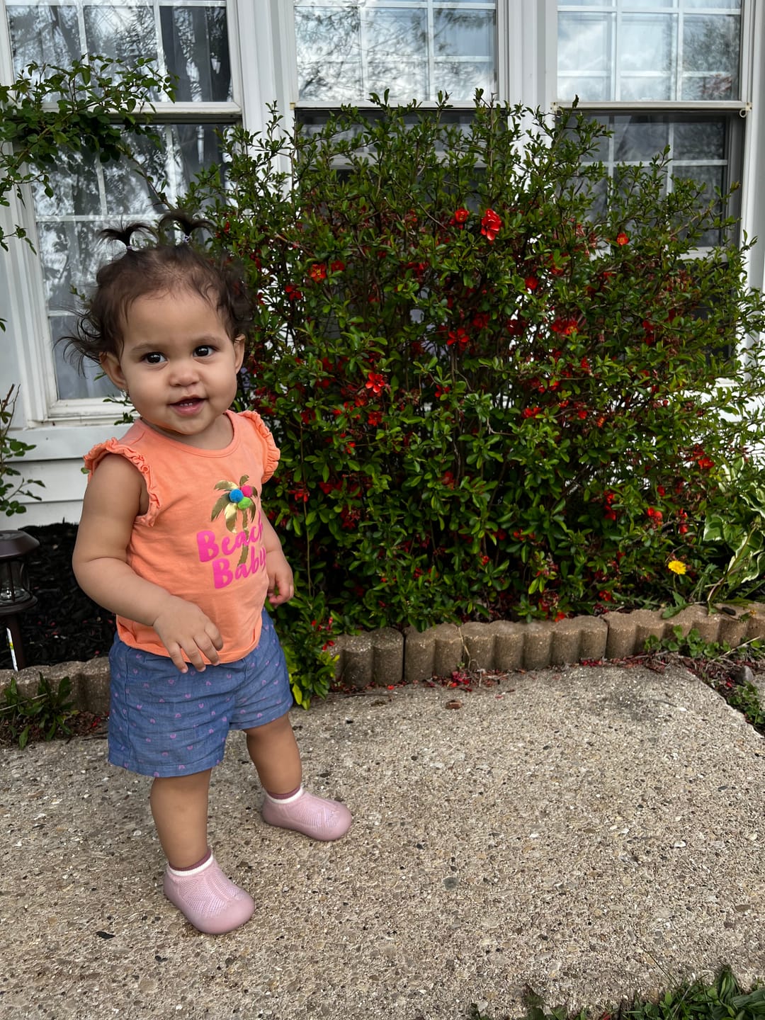 Customer photo review of Tiny Explorings [Summer Edition]