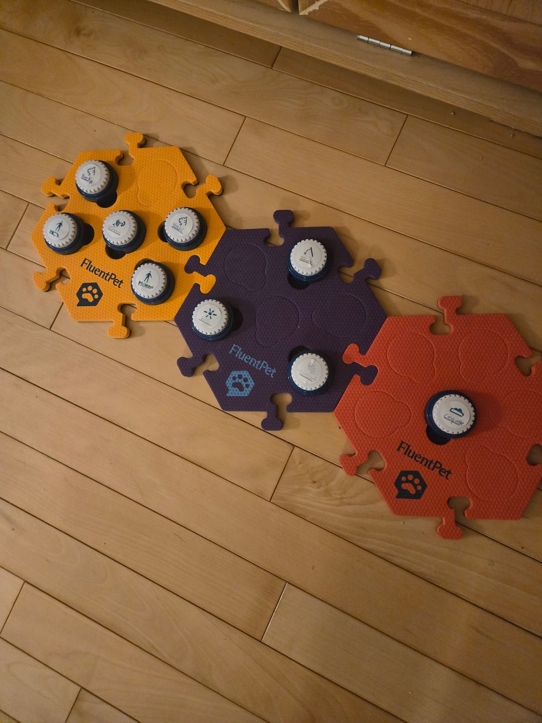Customer photo review of Speak Up Button Multipacks