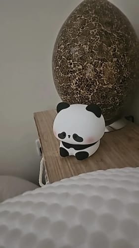 Customer photo review of Panda LED USB Rechargeable Silicone Night Lights