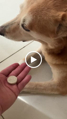Video de Ernesto R.