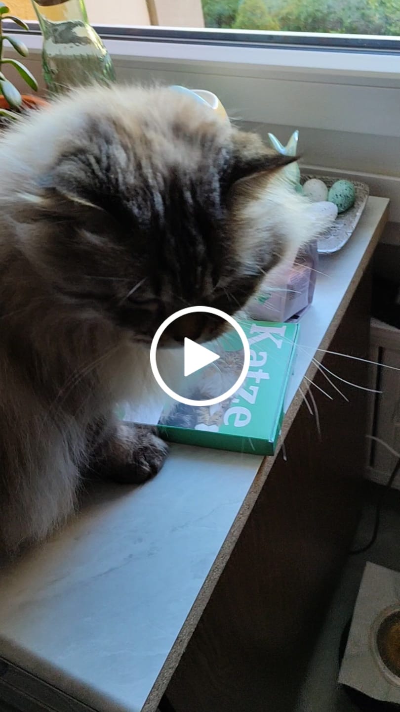 Customer video review of Wurmtest Basic Katze