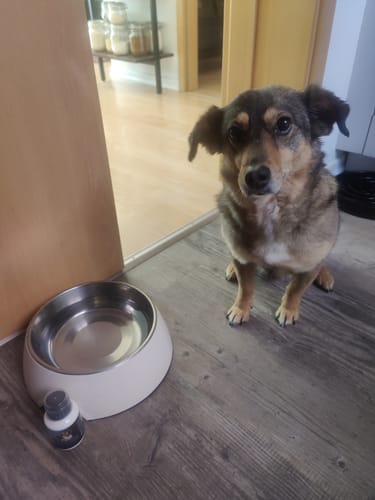 Customer photo review of Zahnhygiene Wasserzusatz