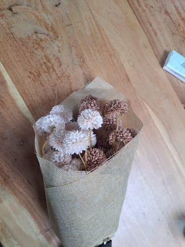 Customer photo review of Zijden Kiku Bloemen - Crème Mix (10 stengels)