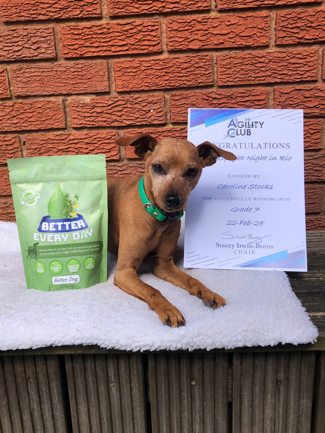 Customer photo review of Better Every Day