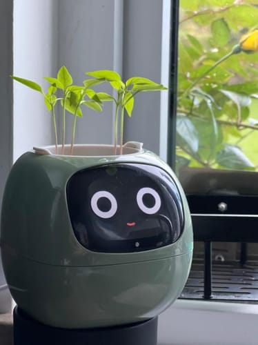 Customer photo review of Plantello™ – The Smart AI Plant Companion