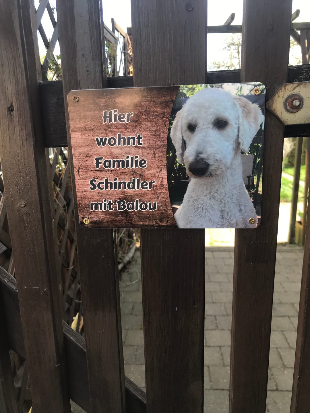 Customer photo review of Hunde-Türschild mit Foto & Wunschtext (UV- UND WETTERFEST) - Angebot beim Kauf eines 2. Schildes