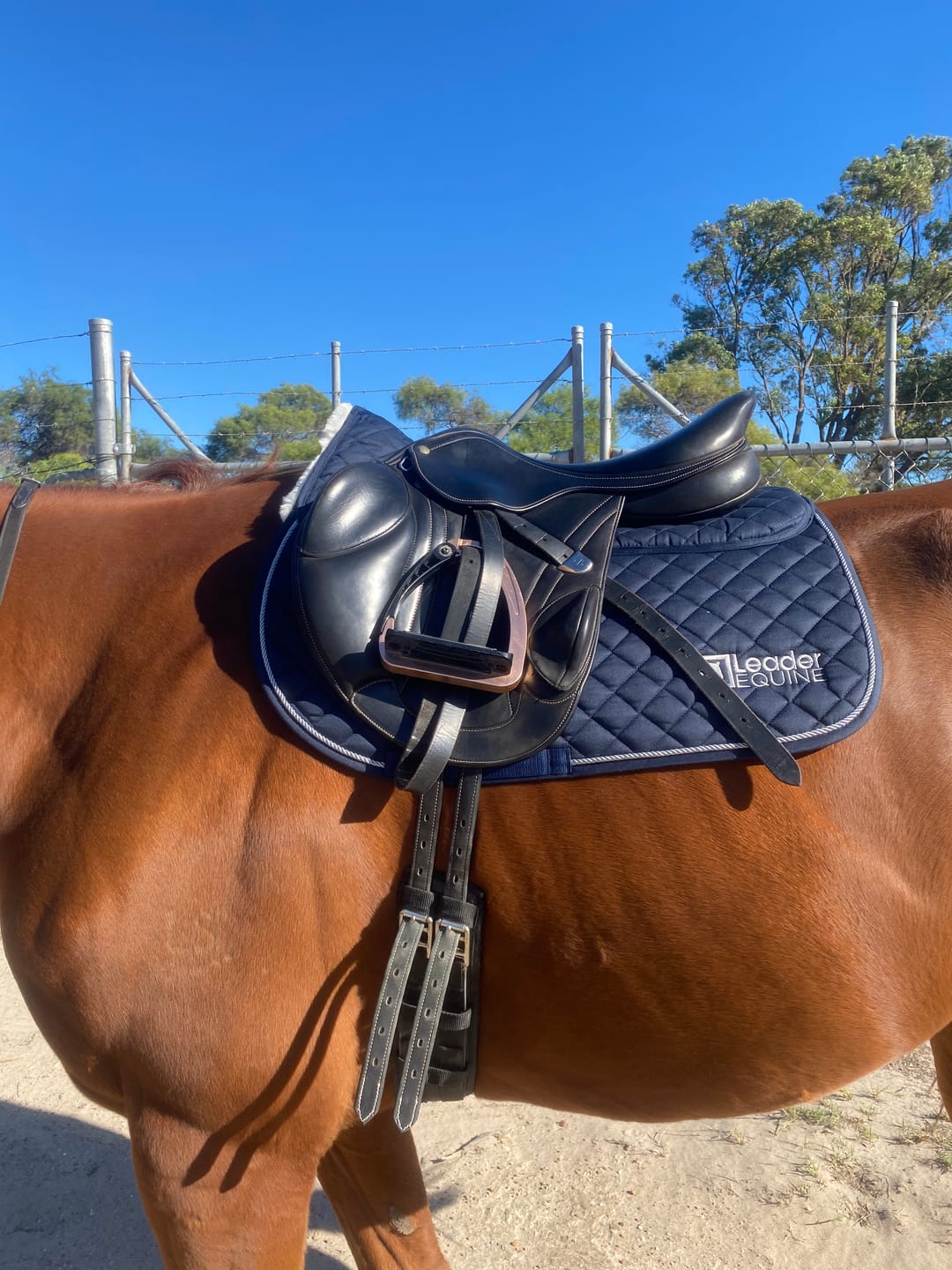 Customer photo review of LE Performance Jump Saddle Pad with Shims
