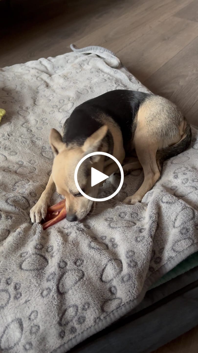 Customer video review of Lomo de cerdo