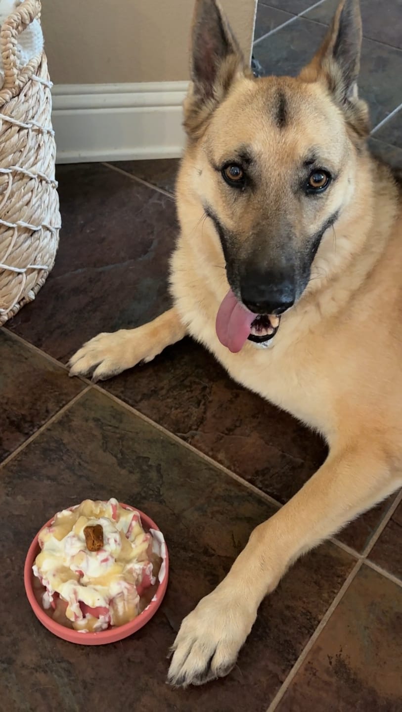 Customer photo review of FreezLava Heavy-Duty Enrichment Chew