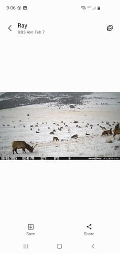 Customer photo review of VisX/VisMax 270 Degree 3 Full Panels See Through Hunting Blind 2 Sets Bundle