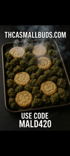 Customer photo review of Girl Scout Cookies THCA Flower