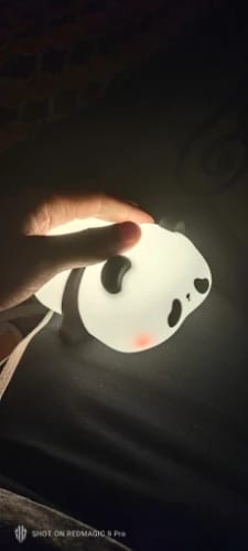 Customer photo review of Panda LED USB Rechargeable Silicone Night Lights