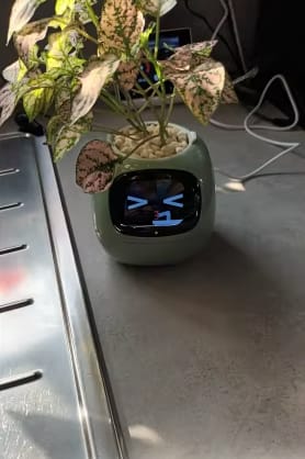 Customer photo review of Plantello™ – The Smart AI Plant Companion