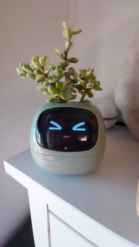 Customer photo review of Plantello™ – The Smart AI Plant Companion