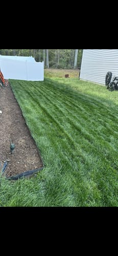 Customer photo review of N-Ext Humic12