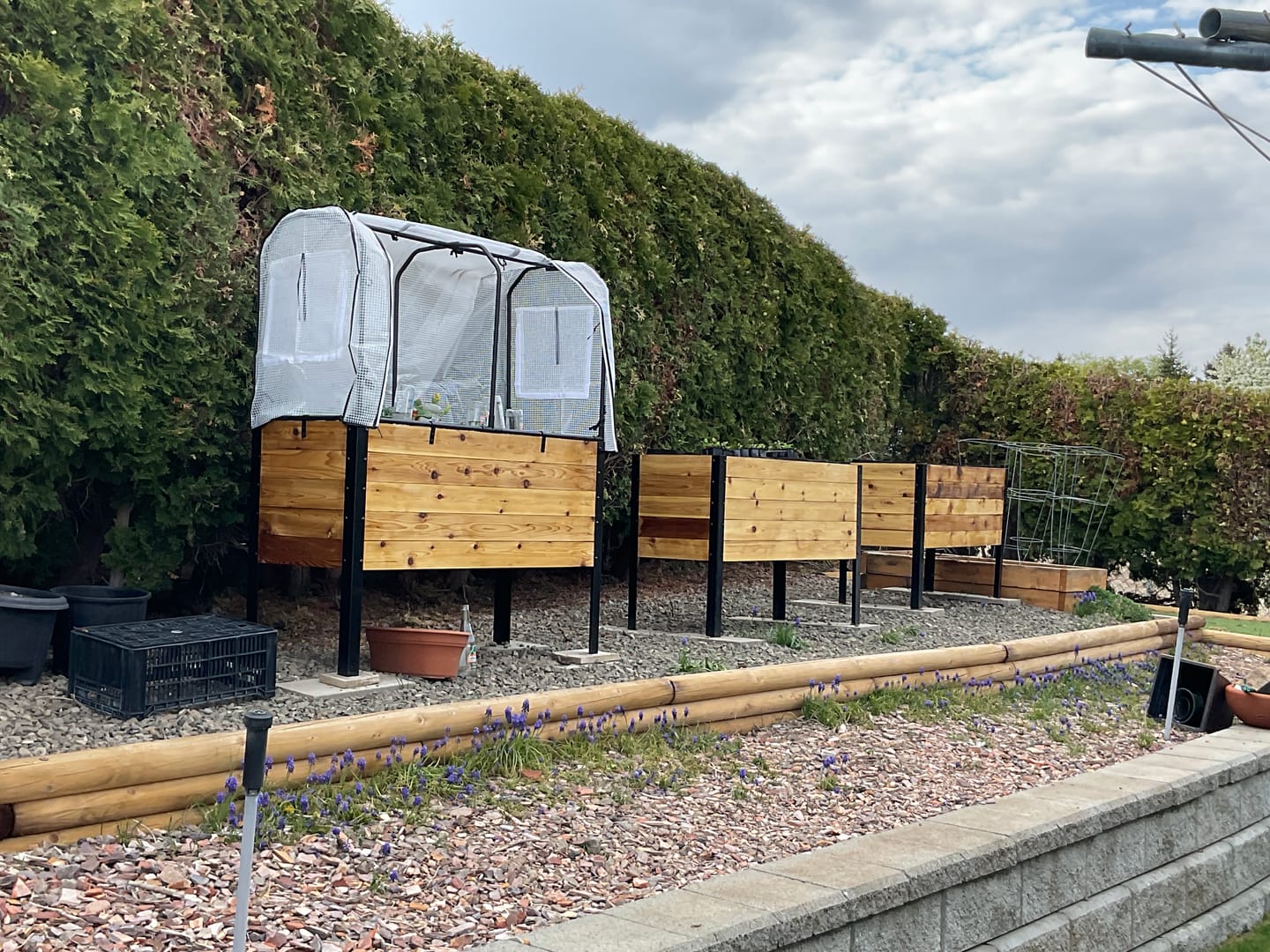 Customer photo review of Greenhouse Cover