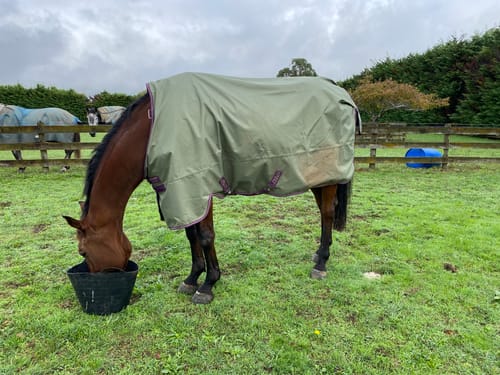 Customer photo review of Amigo Hero Ripstop Plus Lite