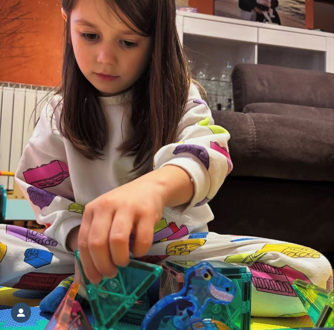 Customer photo review of Magnetic Tiles Dinosaur 49 Pcs