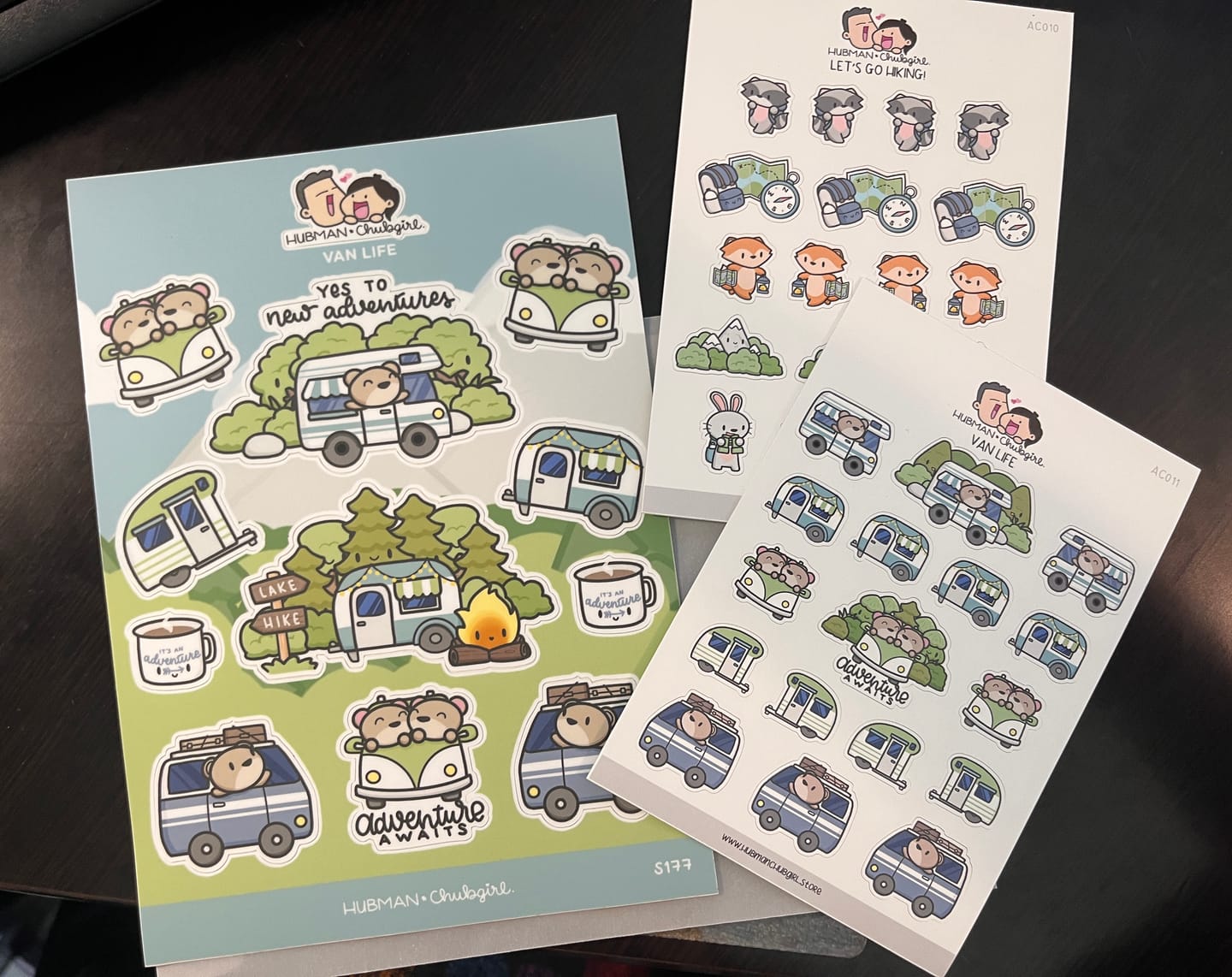 Customer photo review of Let's Go Hiking Planner Stickers
