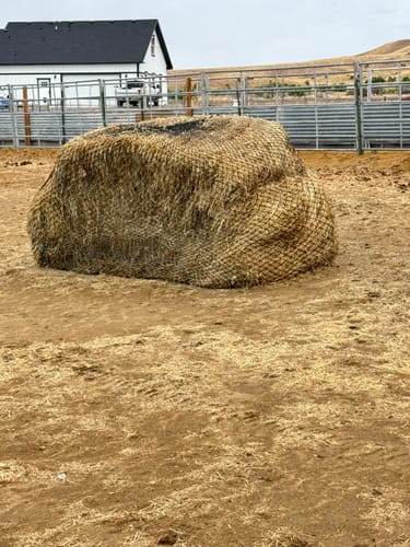 Customer photo review of Hay Chix® Large Bale Net - 6'