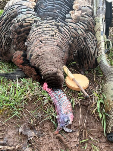 Customer photo review of Ceramic Over Glass All Weather Pot Call