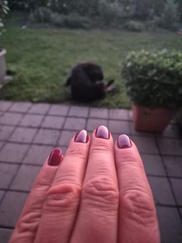 Anna W. review of UV Gel: Sweet Sienna image 1 out of 1