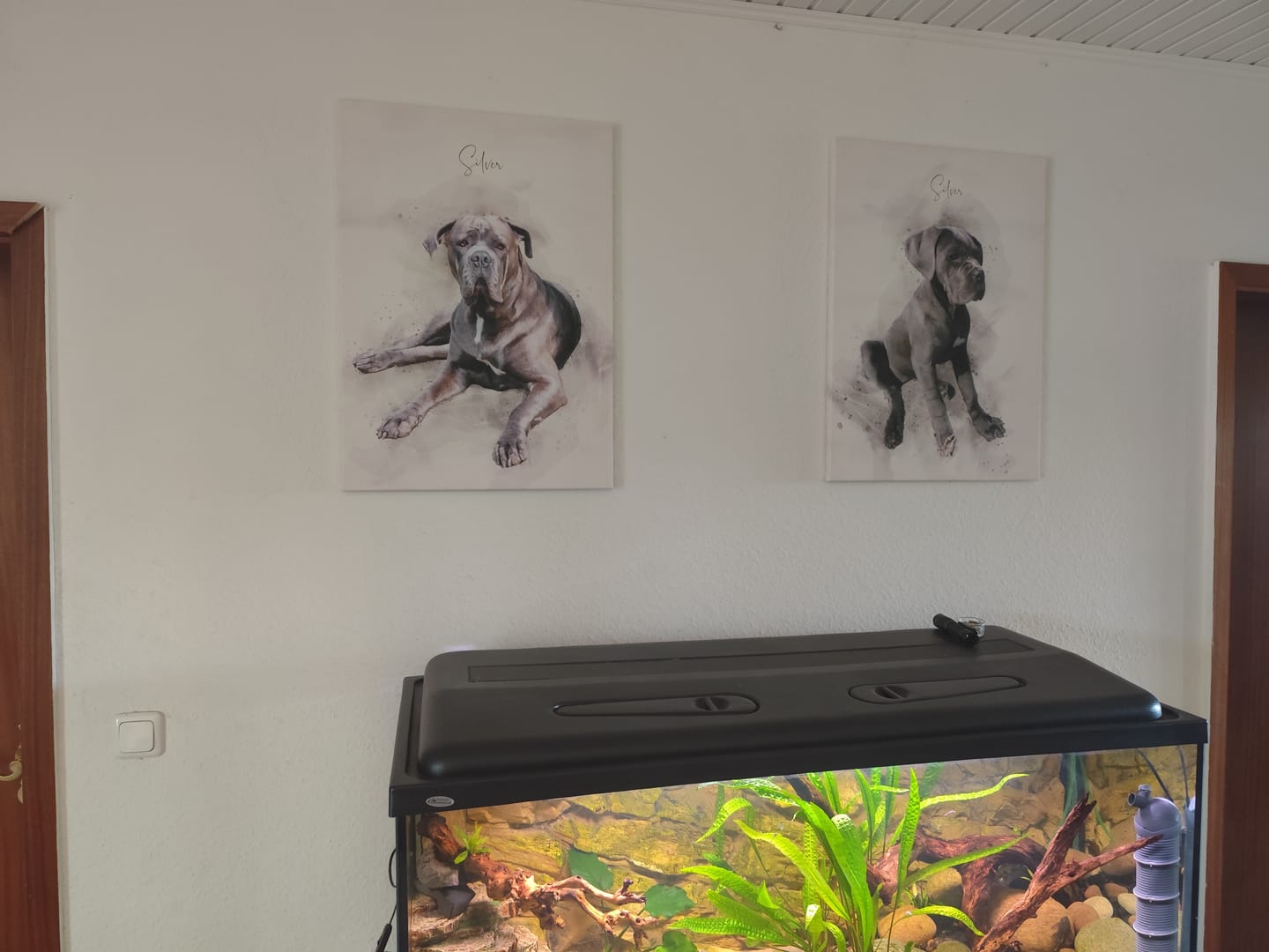 Customer photo review of Hundeportrait nach Foto