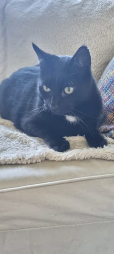undefined review of Naturreines Katzenstreu image 1 out of 3
