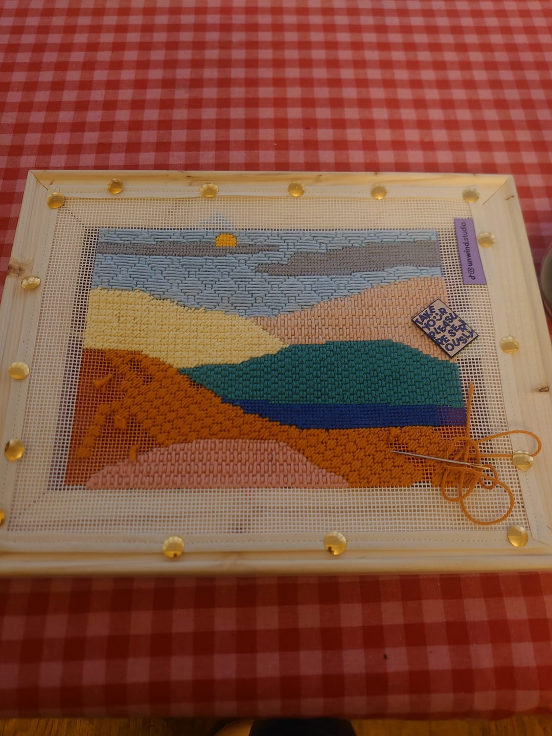 Customer photo review of Peaceful Mountains Beginner Needlepoint Kit