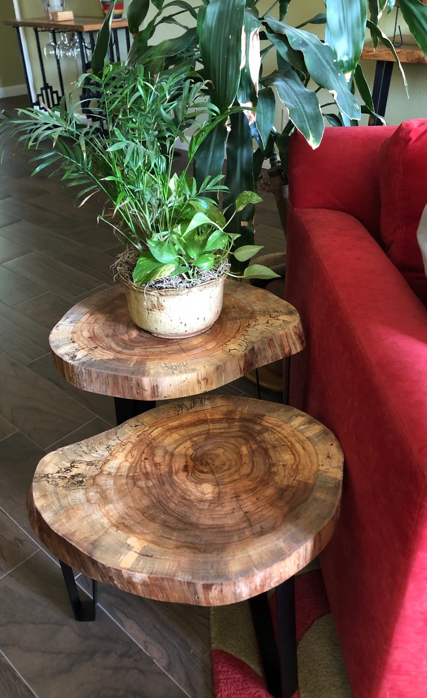 Customer photo review of World Revolves Around Sawdust