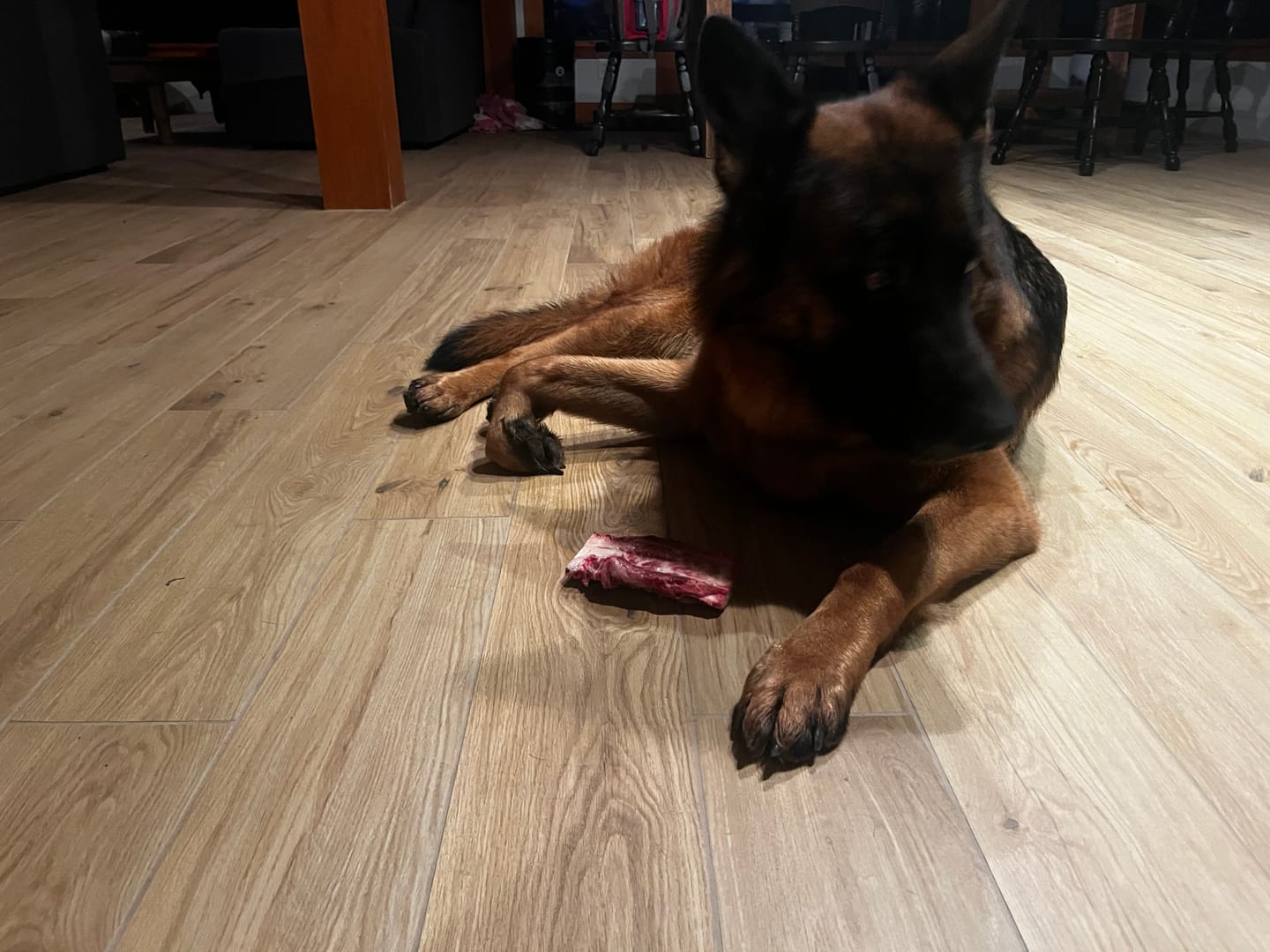Customer photo review of K9 Choice - Os pour chien congelé - 3lb