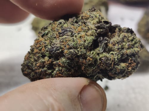 Customer photo review of Dealer's Choice