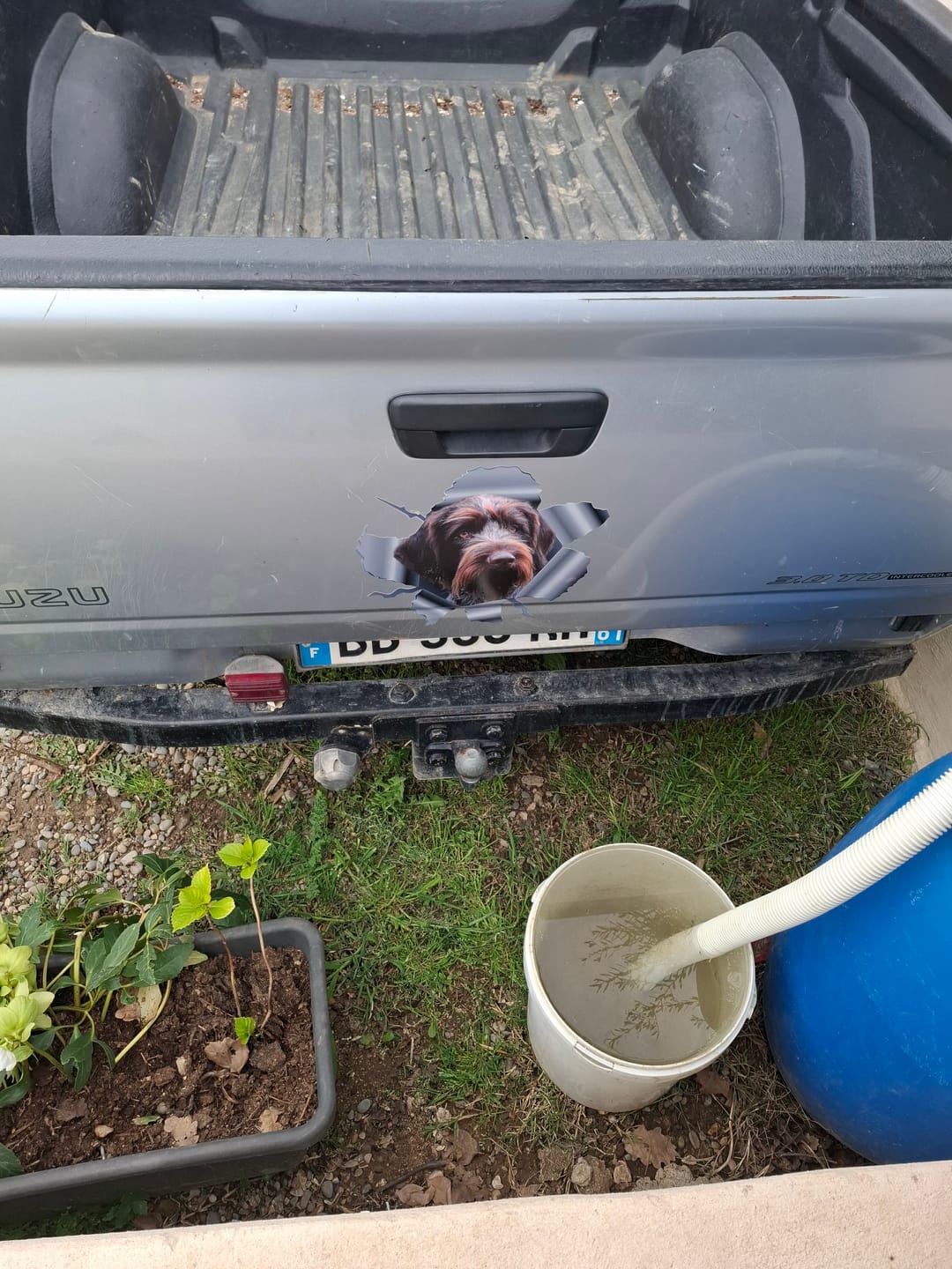 Customer photo review of Photo animal curieux - Autocollant pour voiture personnalisé