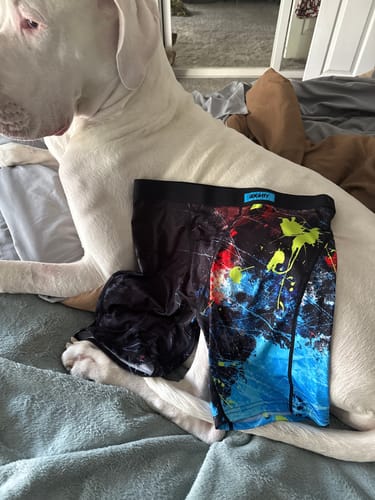 Customer photo review of 80Eighty® Splatter Boxer